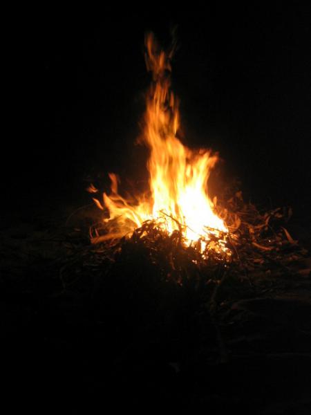 feu de can(con comme dir&eacute; simo)